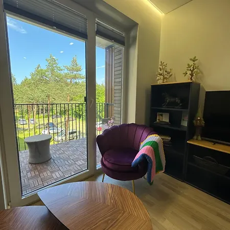 Apartment Vanagupes 45 Palanga